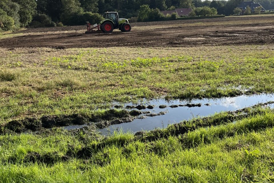 Wist je dat… planten met elkaar communiceren?