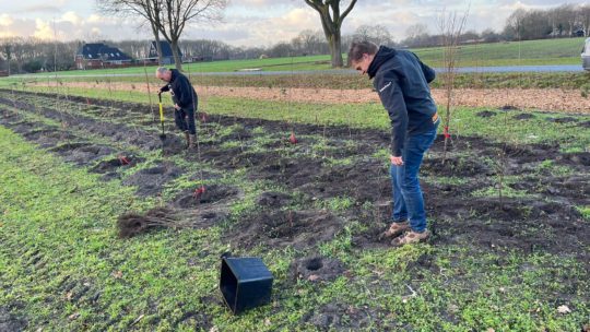 Eerste honderden bomen van voedselbos ’t Wemmenholt geplant