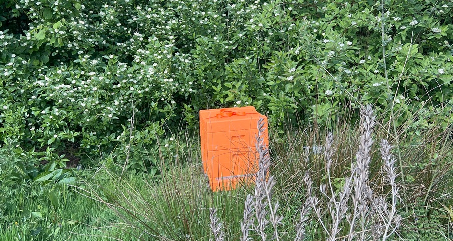 Kippen, koken en een knaloranje bijenkast
