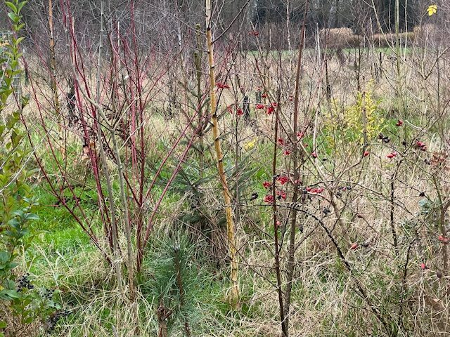 Terugblik: een jaar van samenwerken en verbinding